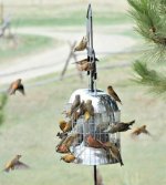 C100 Squirrel Proof, Large Bird Stopper, Stainless Steel Bird Feeder